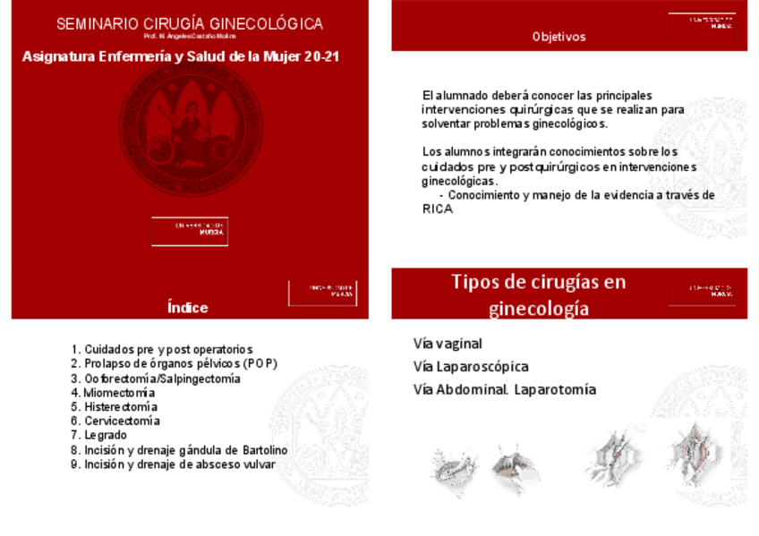 Miniatura del documento cirugia-ginecologica-PDF-sakai.pdf