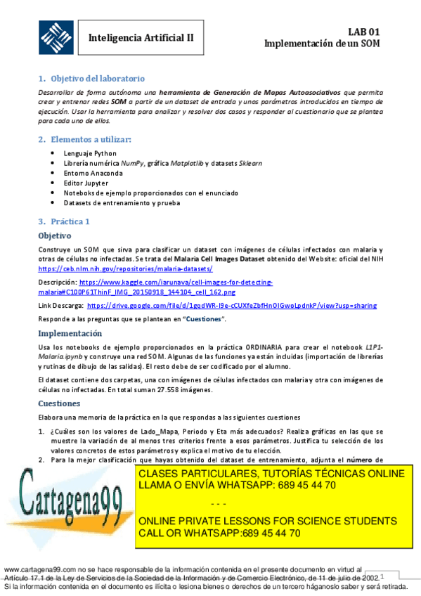 Miniatura del documento implementacion-de-un-som.pdf