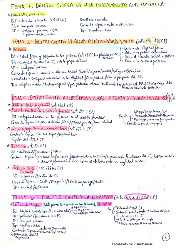 Miniatura del documento derecho-penal-III.pdf