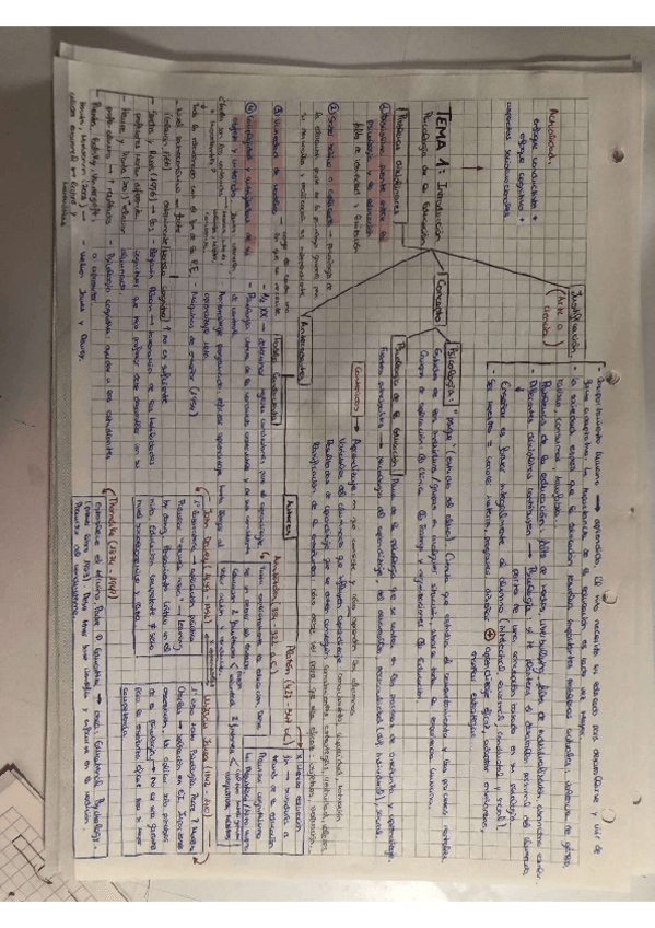 Miniatura del documento Esquemas-Psico-Ed.pdf