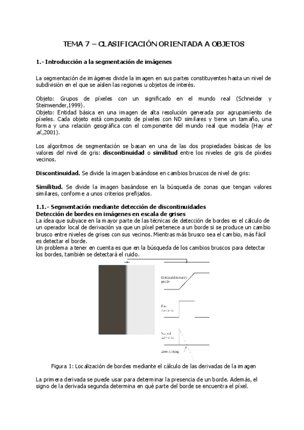 Miniatura del documento Microsoft-Word-Clasificadores-orientados-a-objetos.pdf