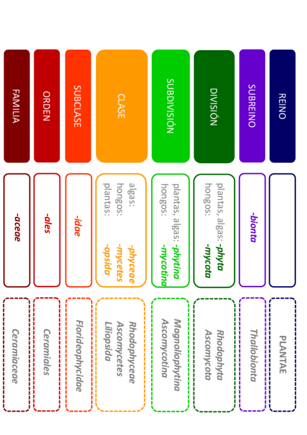 Miniatura del documento Categorias-taxonomicas-botanica.pdf