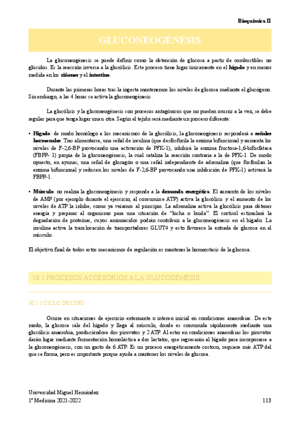 Miniatura del documento GLUCONEOGENESIS.pdf