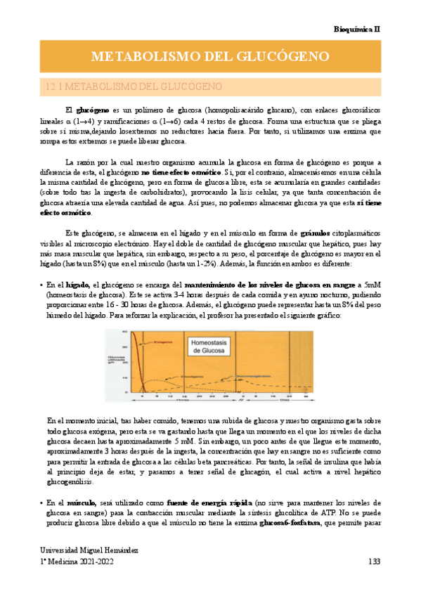 Miniatura del documento METABOLISMO-DEL-GLUCOGENO.pdf