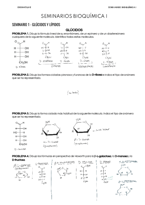 Miniatura del documento Problemas-Seminarios-Bioquimica-I-Resuelto.pdf