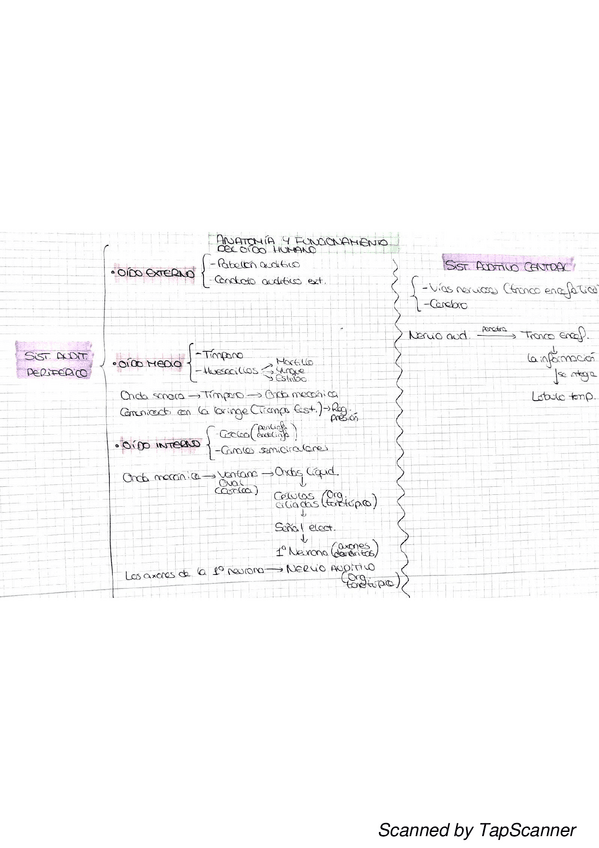 Miniatura del documento Sistema-Auditivo-Periferico.pdf