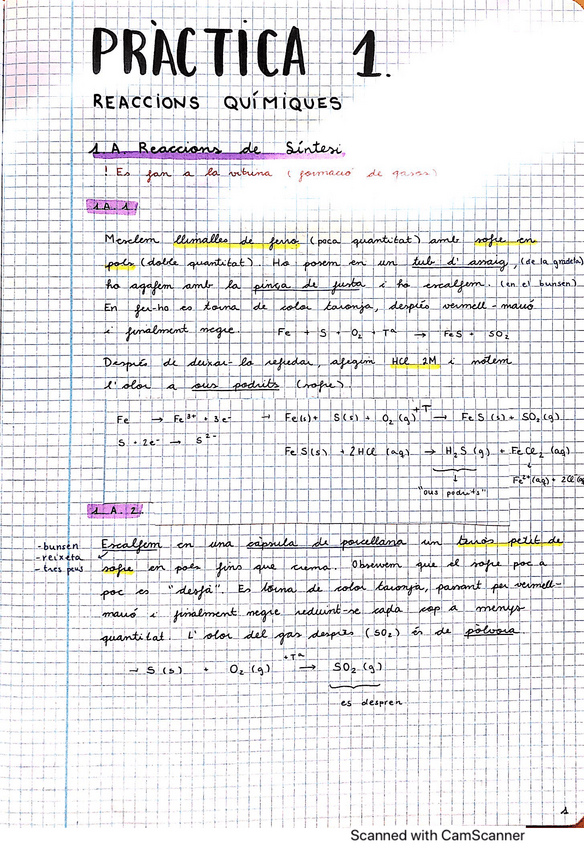 Miniatura del documento Llibreta-Laboratori.pdf