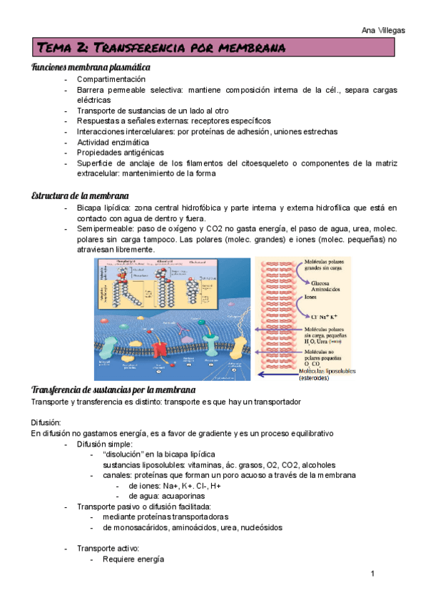 Miniatura del documento TEMA-2.pdf