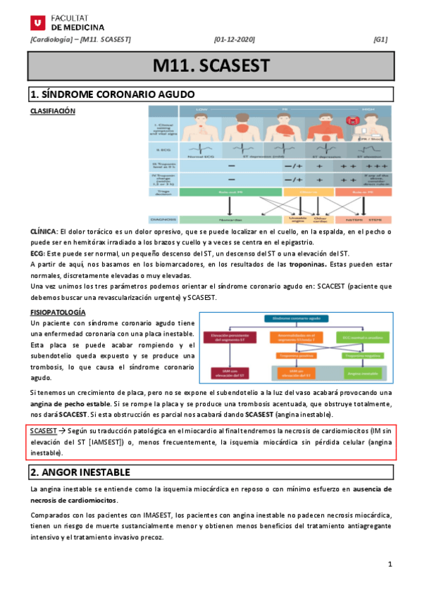 Miniatura del documento M11-SCASEST.pdf