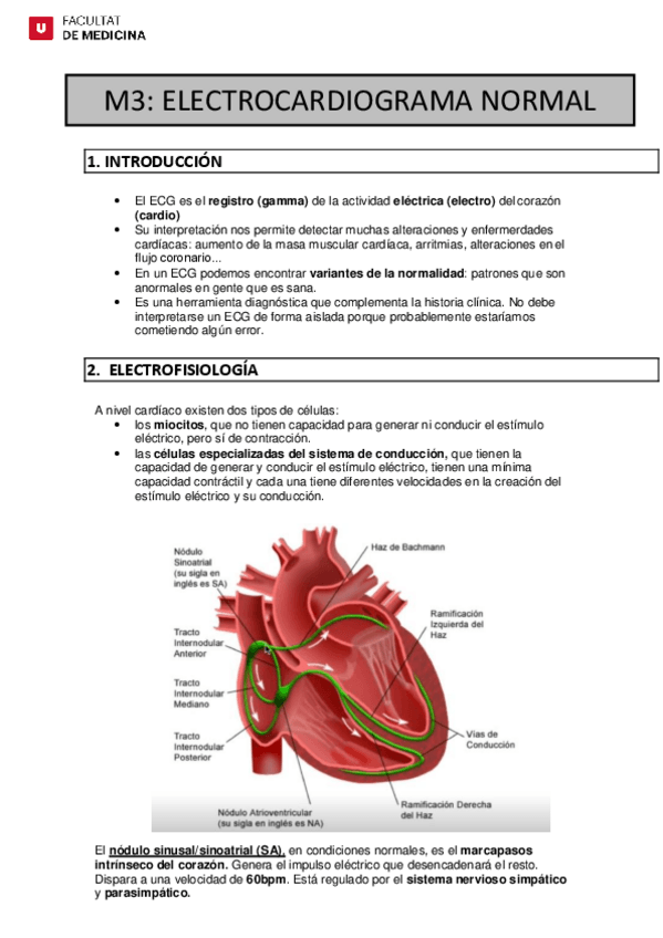 Miniatura del documento M3.pdf