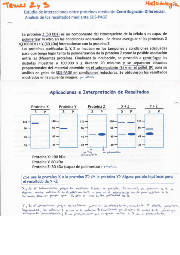 Miniatura del documento Problemas-resueltos-Centrifugacion-EF.pdf