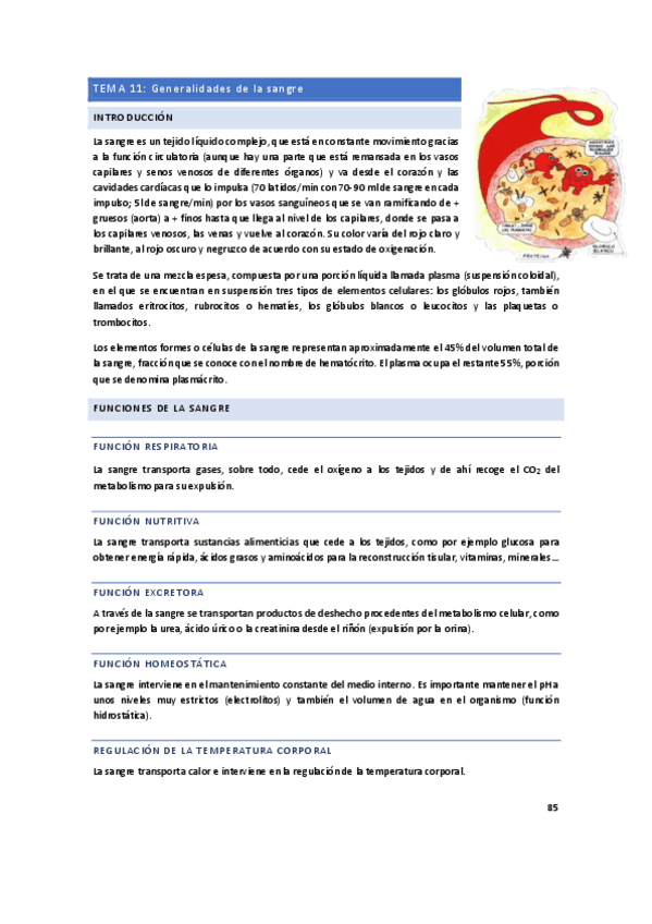Miniatura del documento 3o-PARCIAL-FISIOLOGIA.pdf