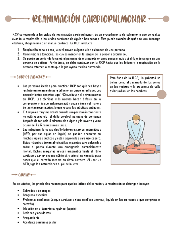 Miniatura del documento Reanimacion-Cardiopulmonar.pdf