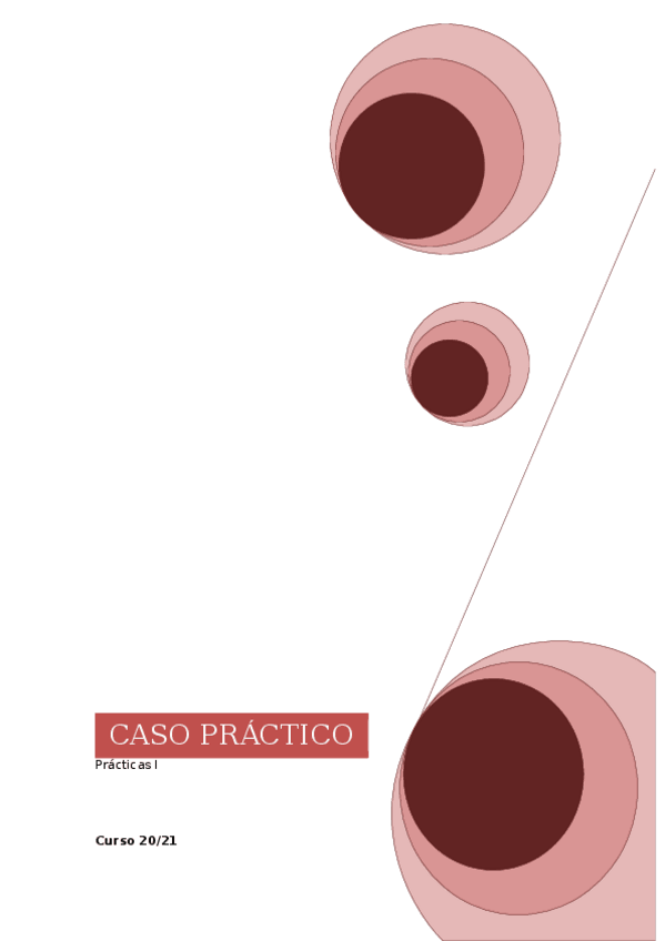 Miniatura del documento CASO-PRACTICO.docx