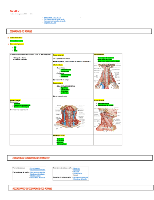 Miniatura del documento CUELLO.pdf