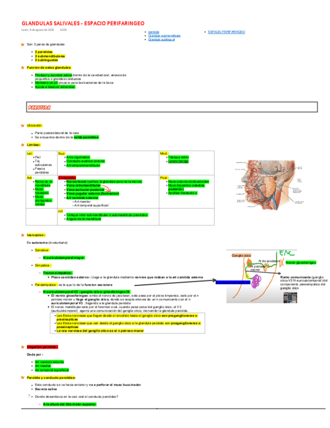 Miniatura del documento GLANDULAS-SALIVALES-ESPACIO-PERIFARINGEO.pdf
