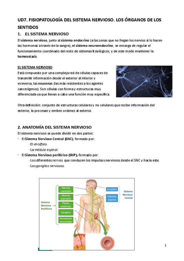 Miniatura del documento Ud7-patologia-general.pdf