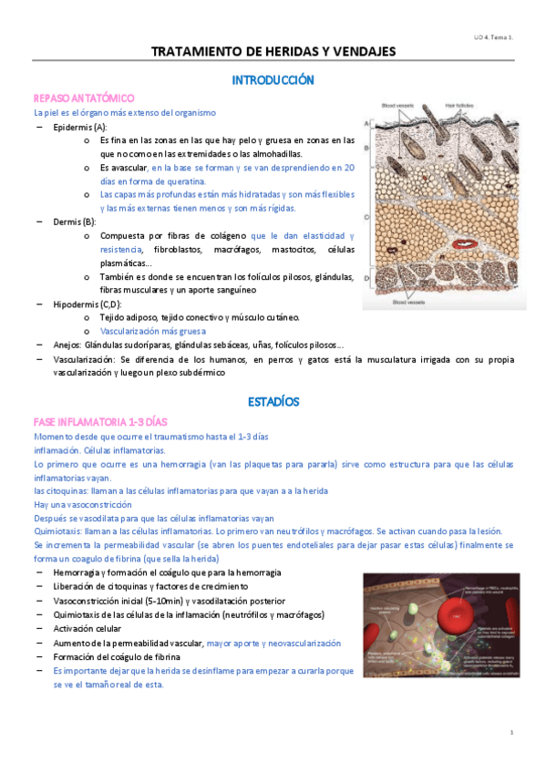 Miniatura del documento UNIDAD4.pdf
