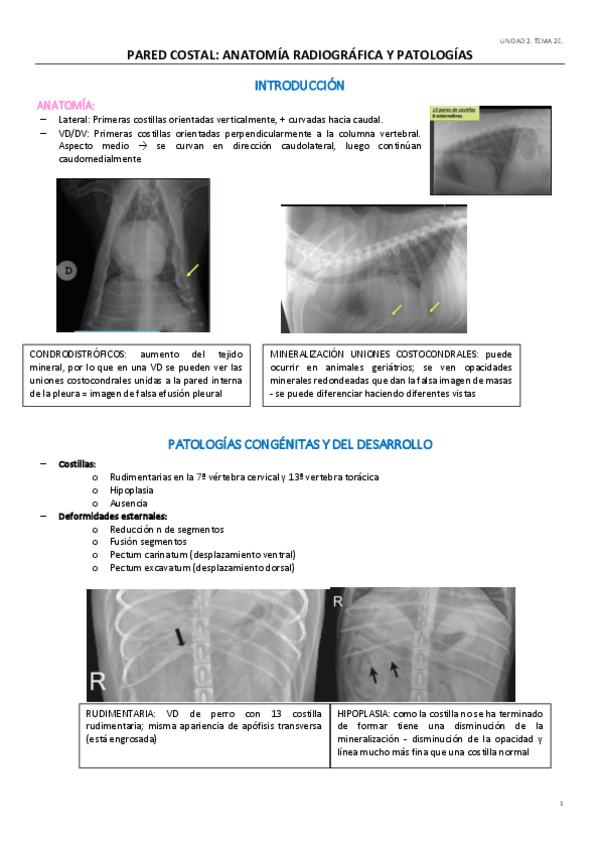 Miniatura del documento UD2.pdf