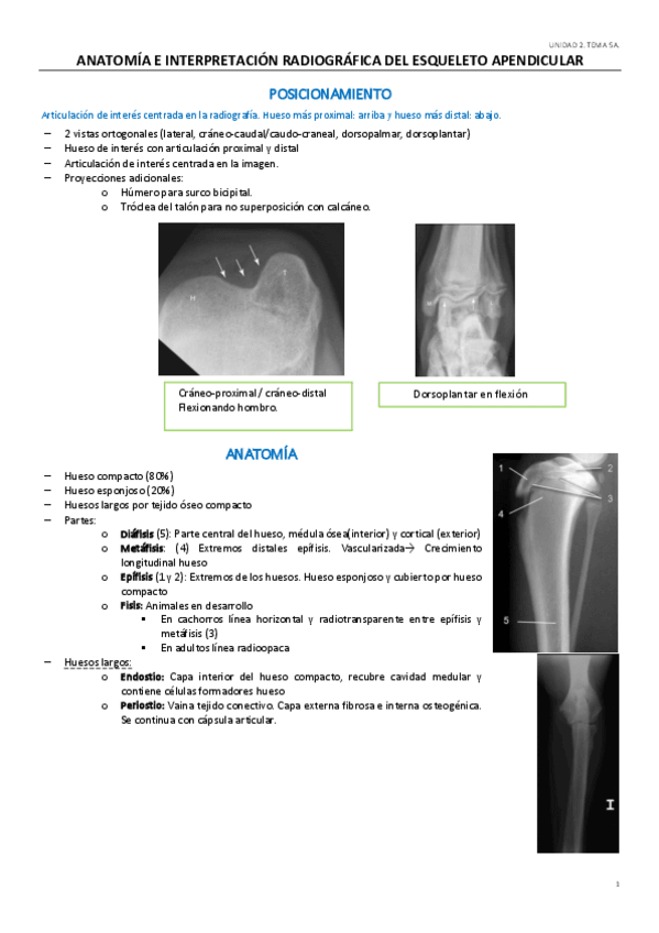 Miniatura del documento UD2.pdf