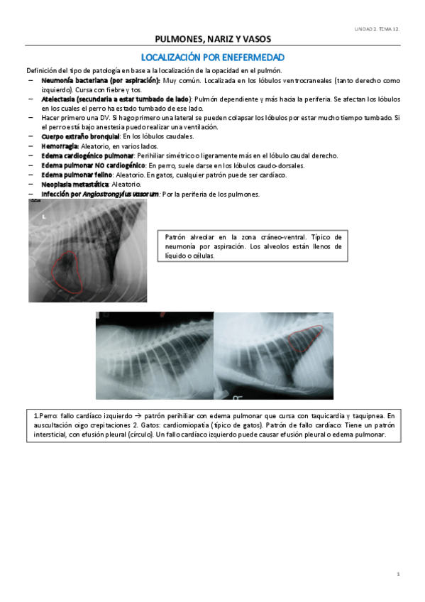 Miniatura del documento UD2.pdf