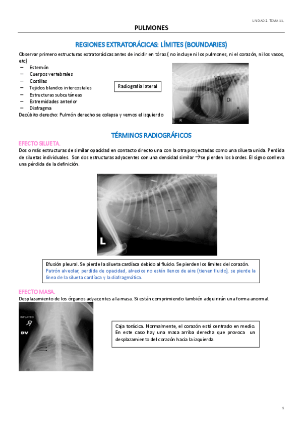 Miniatura del documento UD2.pdf