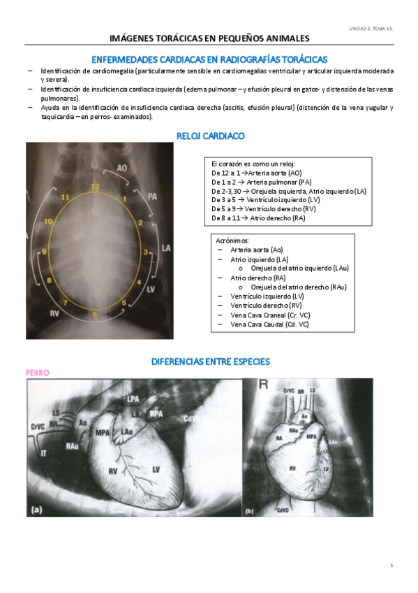 Miniatura del documento UD2.pdf