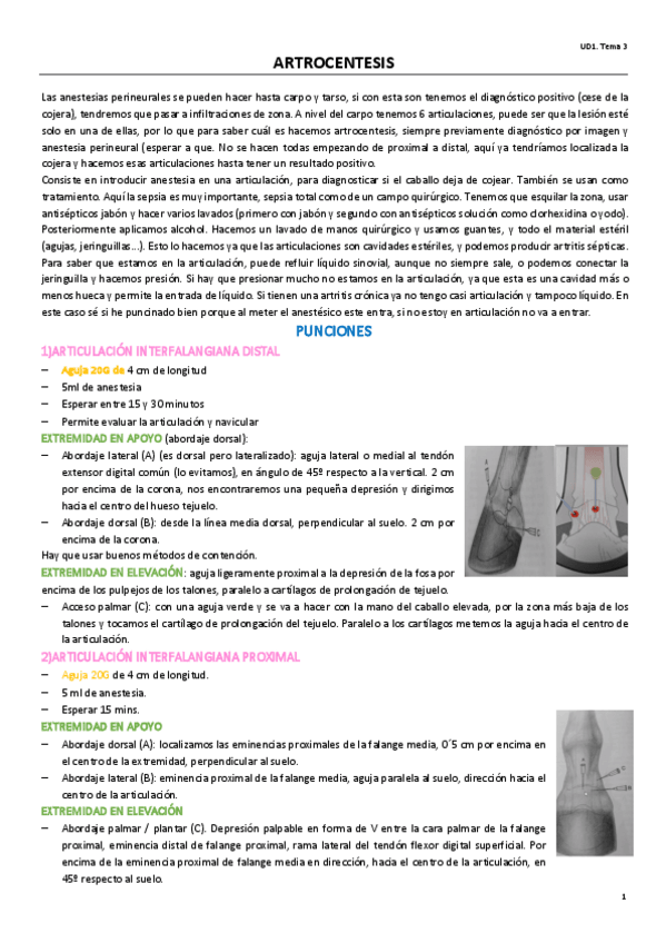 Miniatura del documento UD1.pdf