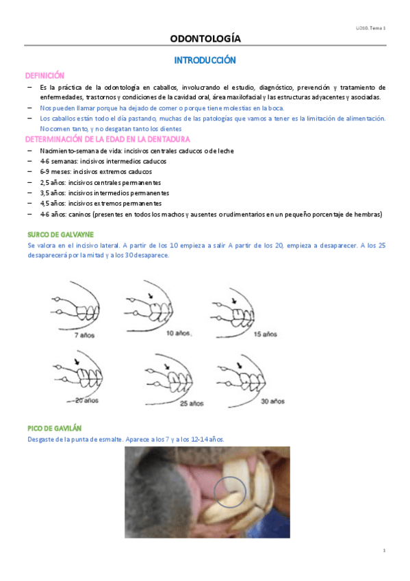Miniatura del documento UD10T1.pdf