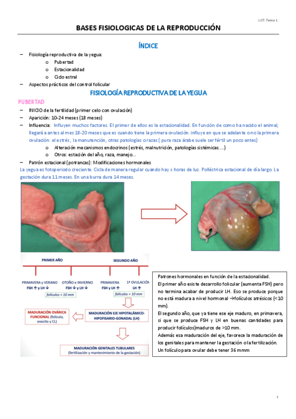Miniatura del documento UD7T1.pdf