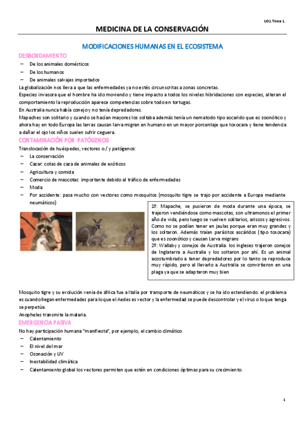 Miniatura del documento UD1T1EXOTICOS.pdf