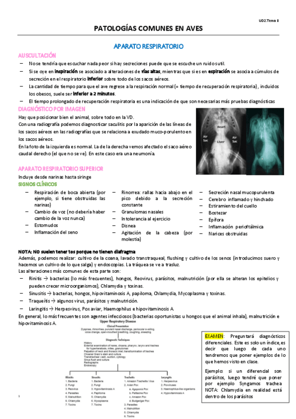 Miniatura del documento UD2T6EXOTICOS-1-32.pdf