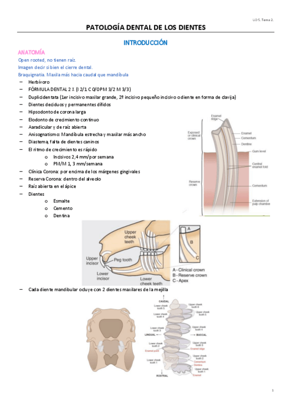Miniatura del documento UD5T2.pdf
