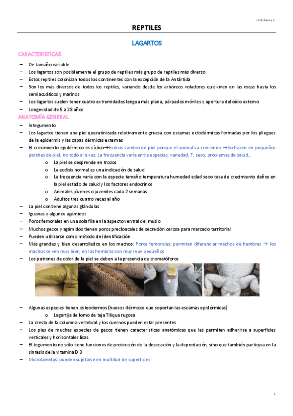 Miniatura del documento UD6T2.pdf