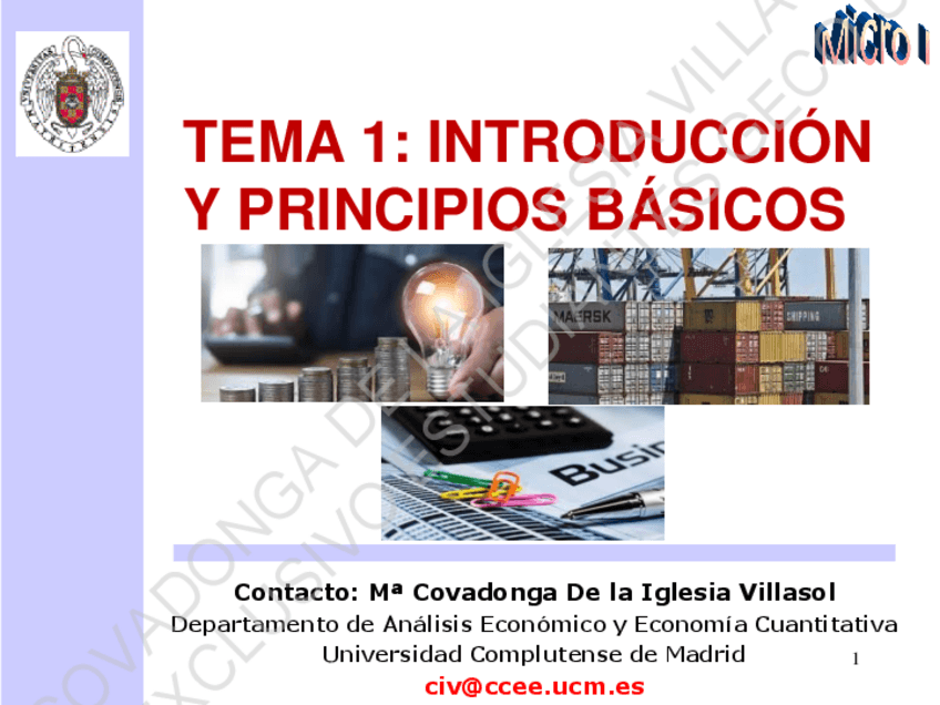 Miniatura del documento TEMA-1-y-2MODELOS-ECONOMICOSI-yII.pdf