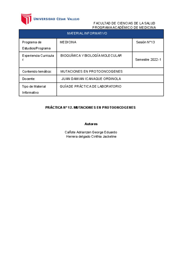 Miniatura del documento Informe-de-Practica-Mutaciones.pdf