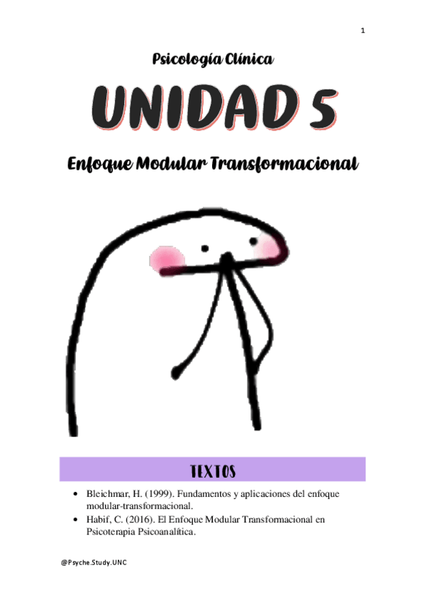 Miniatura del documento Enfoquen-Modular-Transformacional.pdf