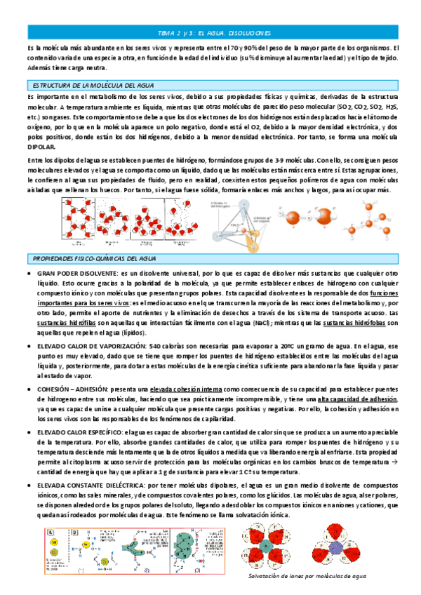Miniatura del documento TEMA-2-Y-3-AGUA-Y-ACIDOS-BASE.pdf