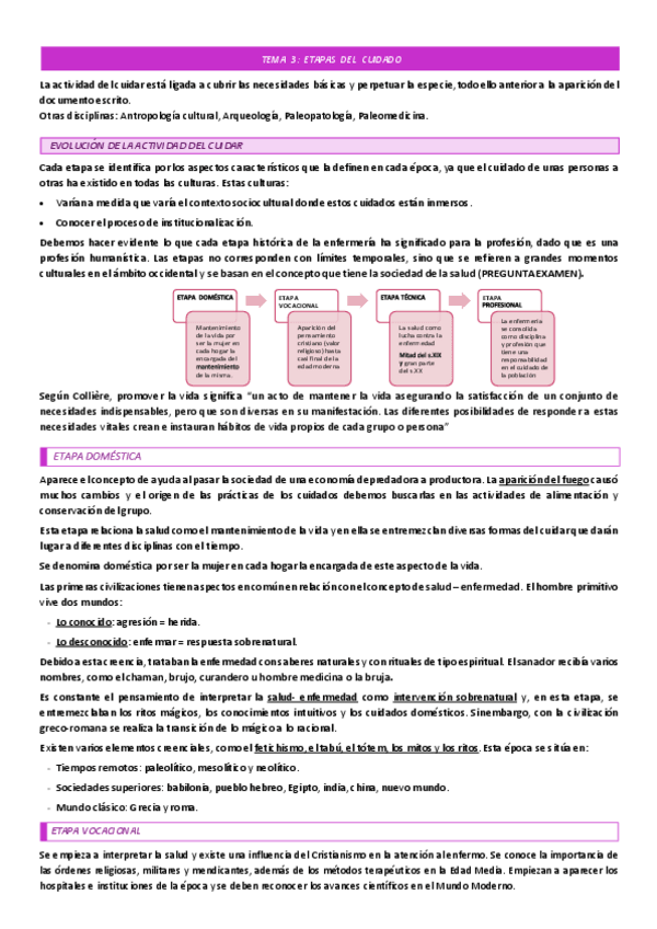 Miniatura del documento TEMA-3-ETAPAS-DEL-CUIDADO.pdf