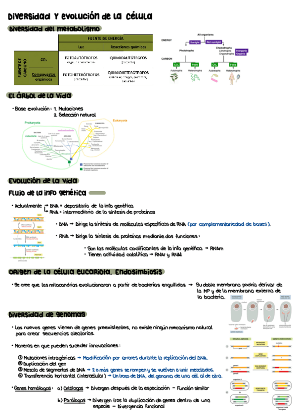 Miniatura del documento T2.pdf