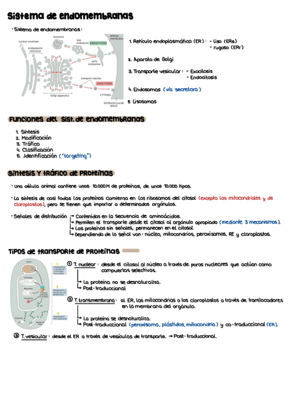 Miniatura del documento T6.pdf