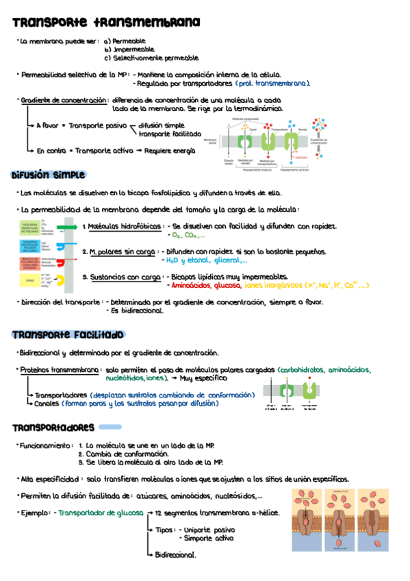 Miniatura del documento T4.pdf