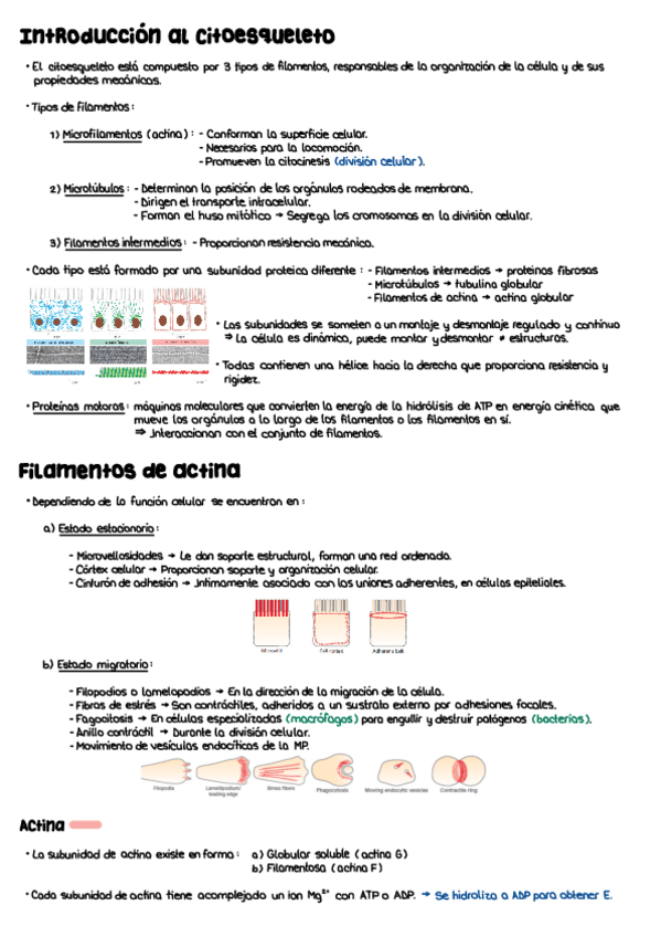 Miniatura del documento T10.pdf
