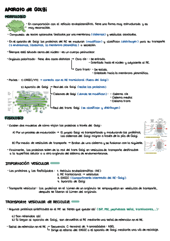 Miniatura del documento T7.pdf