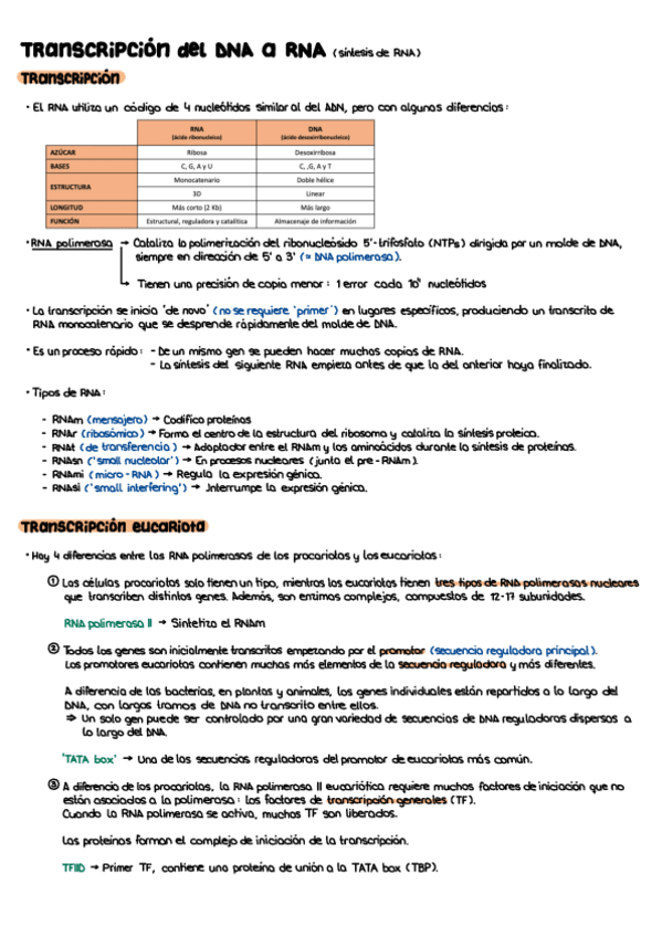 Miniatura del documento T17.pdf