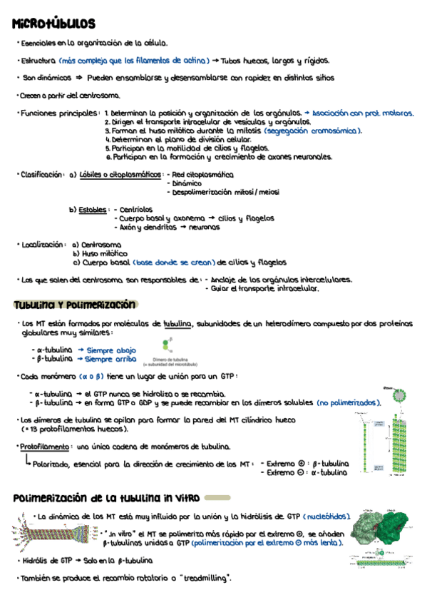 Miniatura del documento T11.pdf