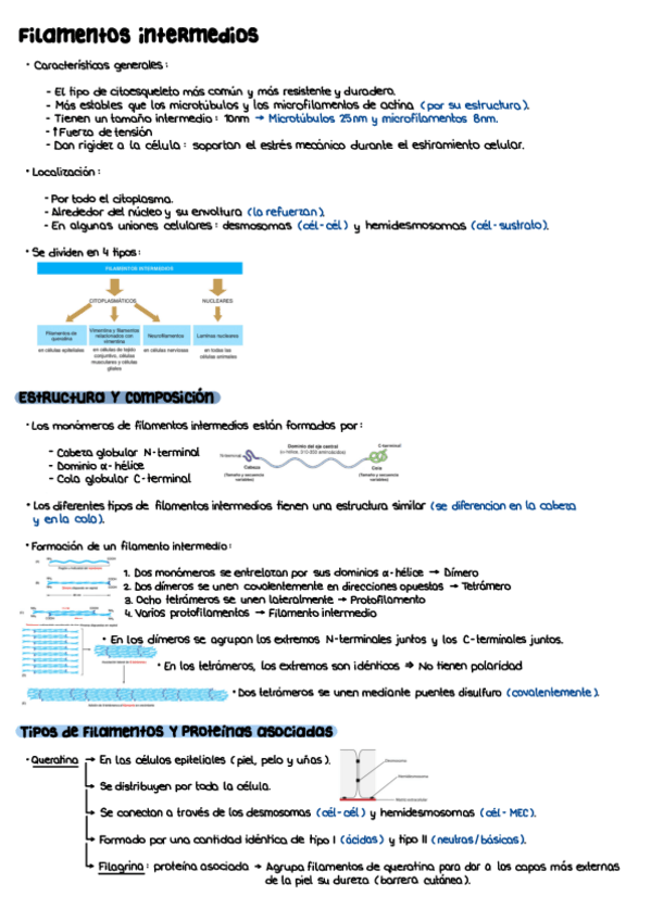 Miniatura del documento T12.pdf