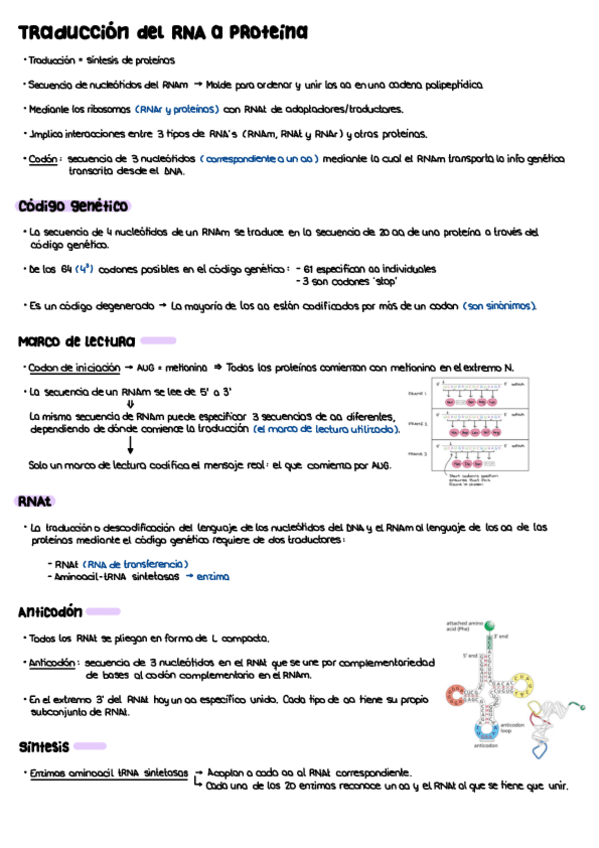 Miniatura del documento T18.pdf