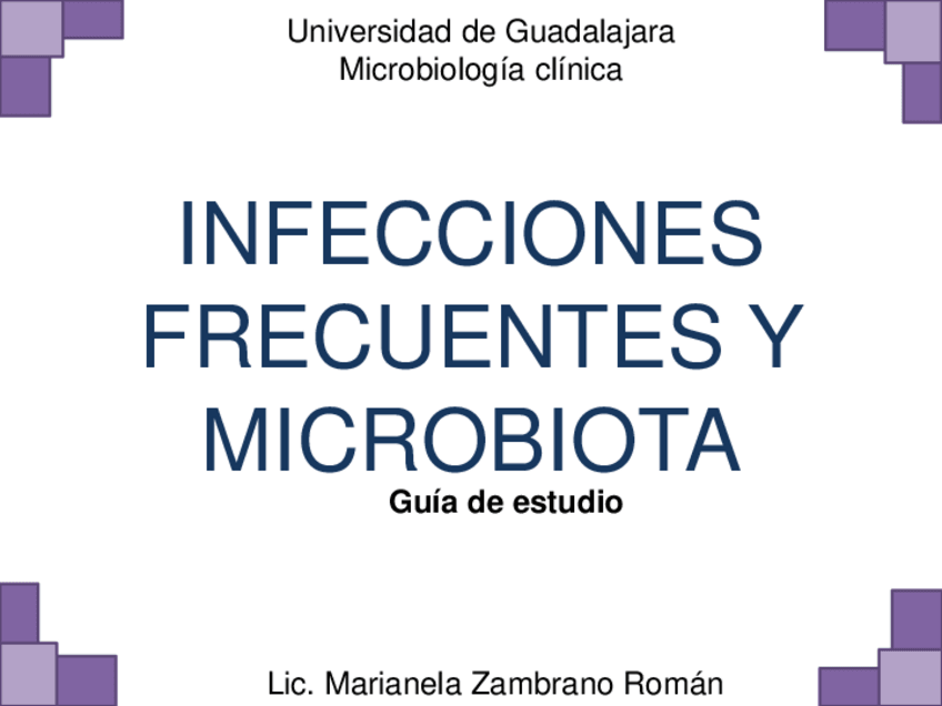 Miniatura del documento Infecciones-frecuentes-y-microbiota-bacteriana.pdf