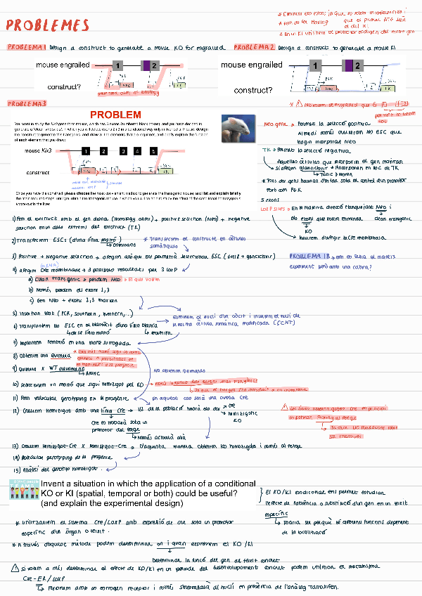 Miniatura del documento PROBLEMS220110165754.pdf